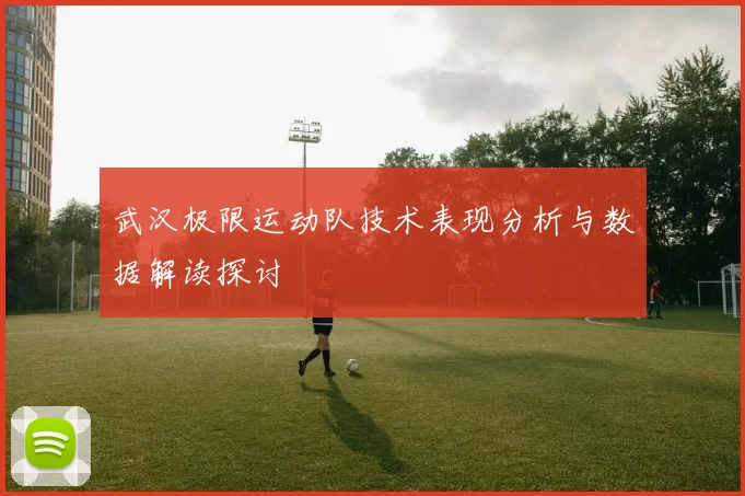 武汉极限运动队技术表现分析与数据解读探讨