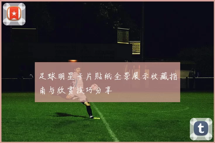 足球明星卡片贴纸全景展示收藏指南与欣赏技巧分享