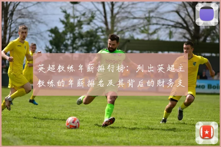 英超教练年薪排行榜：列出英超主教练的年薪排名及其背后的财务支持