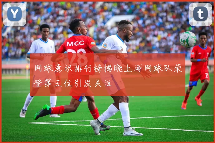 网球意识排行榜揭晓上海网球队荣登第五位引发关注