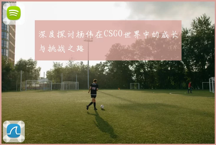 深度探讨杨伟在CSGO世界中的成长与挑战之路