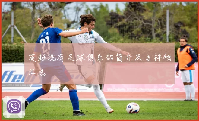 英超现有足球俱乐部简介及吉祥物汇总