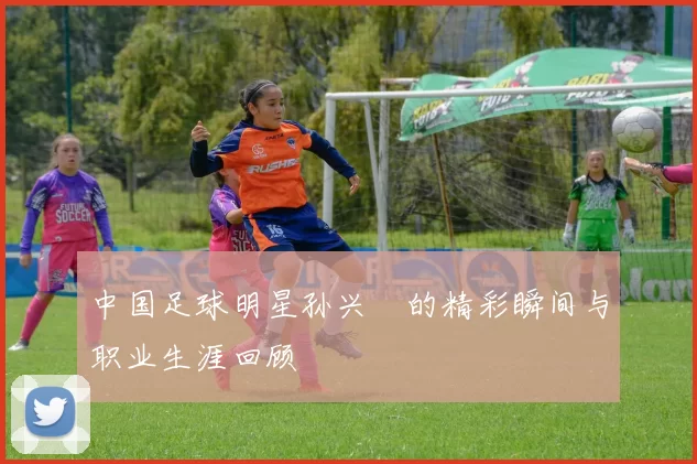 中国足球明星孙兴慜的精彩瞬间与职业生涯回顾