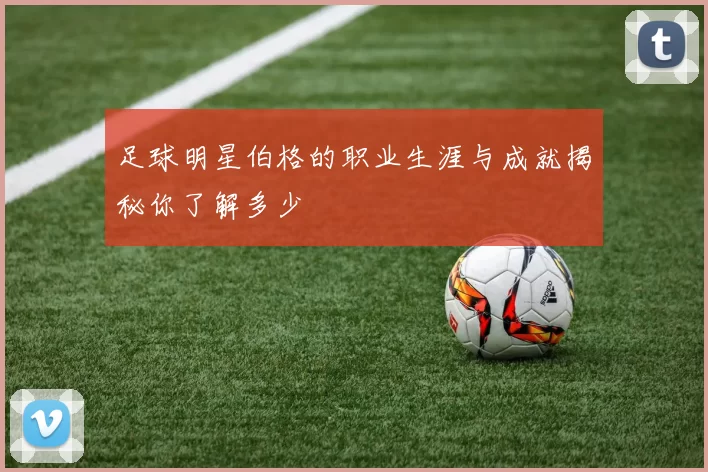 足球明星伯格的职业生涯与成就揭秘你了解多少