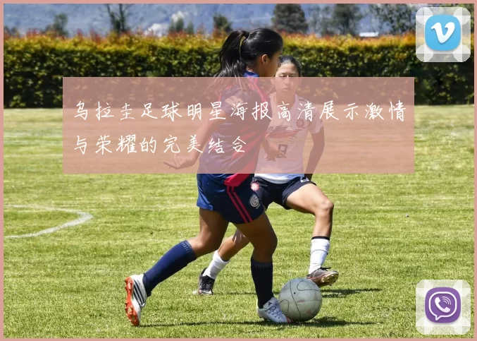 乌拉圭足球明星海报高清展示激情与荣耀的完美结合
