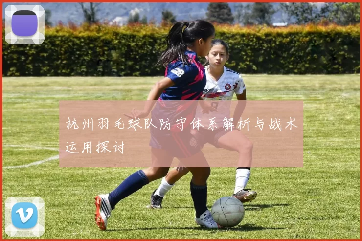 杭州羽毛球队防守体系解析与战术运用探讨